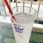 Prost Sausage & Kunsei Bar Okinawa Umikajiterasu Ten - シークヮーサースカッシュ(M)