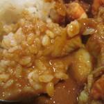 とろとろカレーmasa - さらりとしながらコクもあります