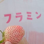 花立山ファーム - フラミンゴ