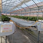 花立山ファーム - ハウス内