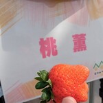 花立山ファーム - 桃薫