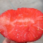 花立山ファーム - おいCベリー