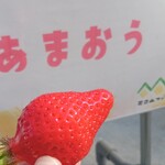 花立山ファーム - 料理写真:あまおう