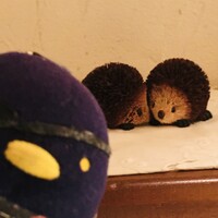 みかわや - 