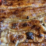 Unagi Konaya - 