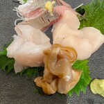 Sushi To Karobata Yaki Shiki Hana Maru - 刺身 トロにしん、銀宝、北海道のほたて、北寄ヒモ