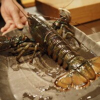 京風鉄板 はせ川 - 