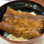 Sumiyaki Unagi Kamo - 