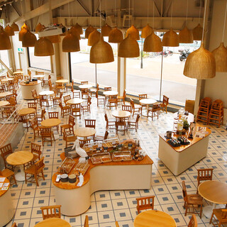 TOOTH TOOTH FISH IN THE FOREST_1