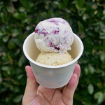 Hilo Homemade Ice Cream - ☆ブルーベリーチーズケーキ(●＾o＾●)☆