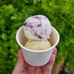 Hilo Homemade Ice Cream - ☆【Hilo Homemade Ice Cream】さん…ピスタチオ＆ブルーベリー(≧▽≦)/～♡☆