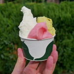 ザ マーケット エスイーワン - ☆可愛いカラーです(●＾o＾●)☆