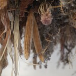 ザ デイ コーヒ ースタンド - 