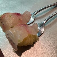 セルサルサーレ - 