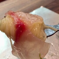 セルサルサーレ - 