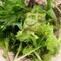 セルサルサーレ - 