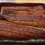 Unagi Kohinata - 