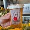 MATSURI BREWING