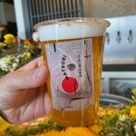 MATSURI BREWING - 