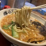 Ariyoshi Shouten - 麺は意外と太い…いよいよ熊本っぽい感じだな