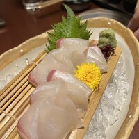 先斗町 四季 よし菜 - 