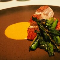XEX TOKYO / Salvatore Cuomo Bros. - 