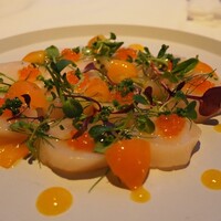 XEX TOKYO / Salvatore Cuomo Bros. - 