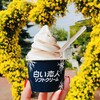 白い恋人パーク ソフトクリームハウス