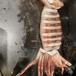 月島もんじゃ もへじ はなれ - 