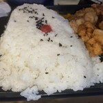 メガ盛り マンモス弁当 - 