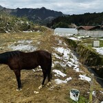 田舎の大鵬 - 