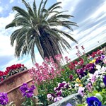 THE GUNJO RESTAURANT - 