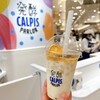 発酵 CALPIS PARLOR