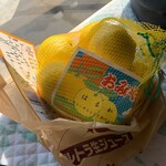 伊豆オレンヂセンター - 