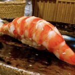 鮨 美幸 - 特大の車海老 (山口・宇部)