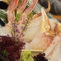 網元本館 - 松葉蟹 お刺身