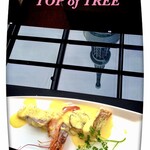 天空LOUNGE TOP of TREE - 