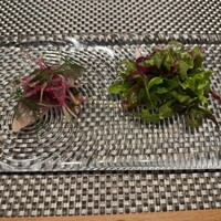 plenitude - 前菜　銚子産　鯖