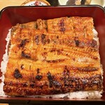 Unagi Yakitori Ufuku Sannomiya Sanchika Ajino Nongai - 