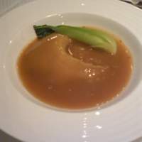 中国料理 星ヶ岡 - ふかひれ姿煮