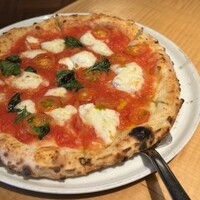 THE RIGOLETTO - 