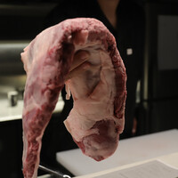 西院焼肉KINOE - 