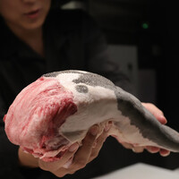 西院焼肉KINOE - 