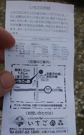 いちごの森 name=