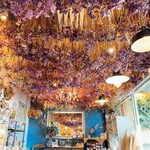 花カフェ コキア - 