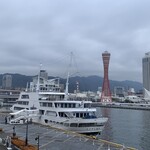 THE KOBECRUISE コンチェルト - 