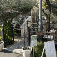 表参道バンブー - 