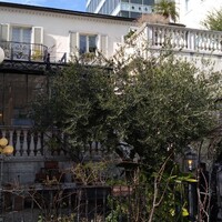 表参道バンブー - 