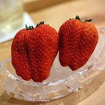 勢麟 - 朝どれ紅ほっぺ。ちょっと小さくなったから2個、と仰るけど、これで普通の苺10個分ぐらい有りそう。