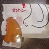 豊島屋 - 購入品。ダイナマイトボディ・ムンムン♪な鳩サブロー。雄でこの巨乳は手術の為せる技か？